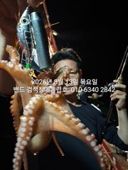 8월13일 군산 홈런호 16명 조사님과 야간 문어 출조 하였습니다.변함없이 반겨주는 문어들 실시간 구경 하세요! 사진