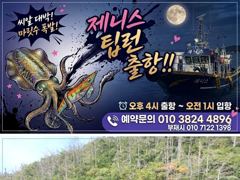 [통영] 제니스호]] 13일 "무늬" 팁런 마릿수 폭발 185수 오늘 자… 사진
