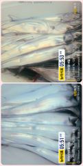 통영 뉴 아시아호>>  머나먼 곳으로 대갈치 찾아서~ 사진
