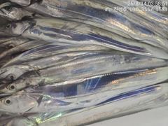 거제 뉴 진성호 8월 14일 야간 칼치 아침조항입니다 사진