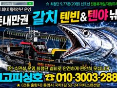 [통영] (갈치)꾸욱~끝장 손맛 3지전후 마릿수 차곡차곡~고고피싱호(오늘… 사진