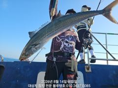 [경주] 긴 휴항 후 첫 출항 대삼치들 조황(8/14, 오전)!
