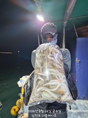 [먹물조황] 삼천포 문어조황! 주간반, 야간반 매일출조! 사진
