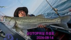 8월14일! 생미끼외수질! 오전실시간! 사진