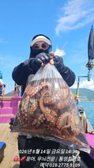 문어야!! 어서와 반갑습니다  사진