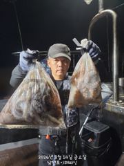 야가문어 팍팍! 사진