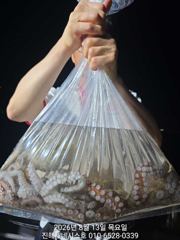문어] 일요일 야간예약가능~ 1.79k 땡기고 고고!!~