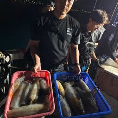 8월14일 제주도 무늬오징어 팁런 조황입니다 사진