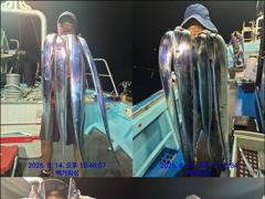 통영백가피싱)오늘3자리/먼바다 왕갈치 오랜만에 조황 올려 봅니다. 사진