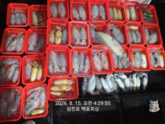 무늬 팁런 조황~ 마릿수 굿~! 일요일 부터 무늬 자리 예약 가능 합니다~^^