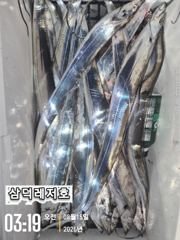 [텐빈]씨알끝장,기본3~4지,쿨러만땅,반쿨(화요일부터 출항) 사진