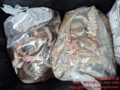[고흥,녹동] 15일(토) 고흥 나로도권 문어. 사진