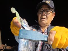 내만칼치ㅡ 엄청나게 올라오네요. 루어.텐빈 가리지않고 잘 물어요 (예약가능) 사진