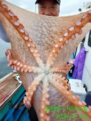 21인승 비너스호 대왕문어조황