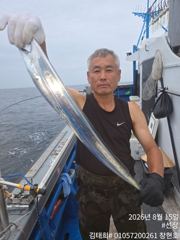 [통영] (통영창현호)8월15일 갈치 중간조황입니다. 사진