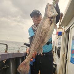 08/15 격포 드래곤 1호 민어 농어 참돔 조황입니다~!!! 사진