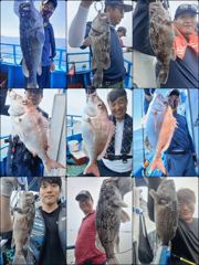 [우럭] ♡다잡아♡ 8월 15일 조황~!^^ 사진