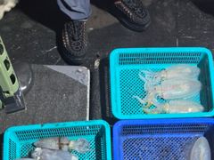 8월15일 무늬오징어 초보분들도 손맛보시고 가셨습니다~ 사진