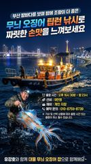 [부산 유강피싱] 유강호 부산권 야간 무늬오징어 조황입니다. 사진