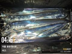 [통영] [통영청신호]내일(월)예약가능/먼바다왕갈치 내일부터 다시도전~~… 사진