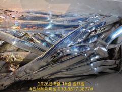 내만칼치ㅡ바글바글,루어,메탈,텐빈 가리지 않고 퍽퍽퍽(일 예약가능) 사진