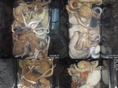 [진해] 15일.퍼담듯 올라와 잡고온 야간~돌문어 마리수 잡으러 출조 갑… 사진
