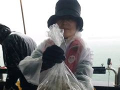 [사천] 내일부터 쭉~돌문어출조 예약중입니다 자리있습니다