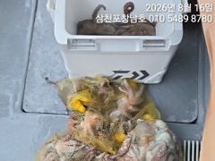 16일문어조황 왠일입니까?서울두분이 1~2둥 사진