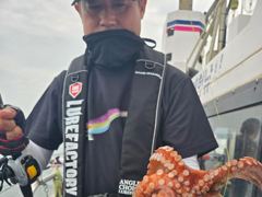 [진해문어낚시] 묵직하게 올라오는 돌문어 쭉쭉 올려주시며 찐한 손맛 보고왔습니다^0^