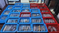 [통영] 통영7톤스텔라호 무늬오징어 12일부터 4일간 조황입니다. 사진