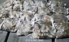 군산 대호피싱 야간 문어낚시 대박조항