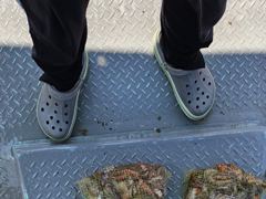 사천팔포피싱 문어 갇이 출조 하실분 주중 주말예약 미리미리 받습니다 사진