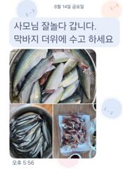 [마산] 마산 원전 주간 선상낚시터 조황 사진
