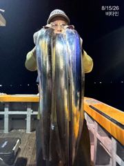 [진해] 먼바다갈치(16석,18석) 씨알 좋은데 마릿수가...내일,수,목… 사진