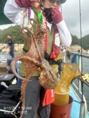 내일 돌문어 출조합니다 자리여유 많습니다 주말도 자리여유 사진