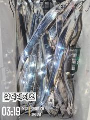 [텐빈]씨알끝장,기본3~4지 마리수까지(수요일부터 출항) 사진
