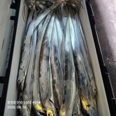 [진해] <<내만갈치>>물반 고기반 만쿨조황 폭발적인 입질 굿 사진
