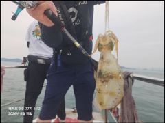 [마산] "해적"  내만 무늬 팁런  화요일부터 달립니다 (8/15 조황… 사진