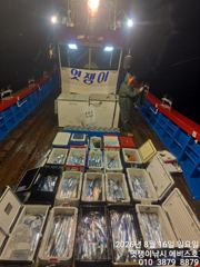 준내만갈치~빵좋고대치들까지 쿨러 채우기~오늘부터 예약가능합니다 사진