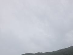 무늬오징어 팁런 “씨알급 엄청납니다~!!! << 오늘 >>예약가능~!!! 입질 시원하네요~!! 화요일 부터 정상출항 사진