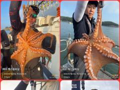여수캐스팅피싱호 >  [ 늘 한결같은 캐스팅호! 문어 출조 합니다!! ] / 내일출조합니다!! 사진