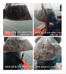 [광진호]문어,주말,평일,선비할인,자리여유 예약중~ 사진