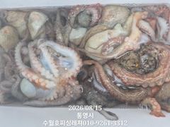 (수월호피싱레져)사량권 돌문어 키로급 쩍쩍달라붙네요.손맛보러오셔요. 사진