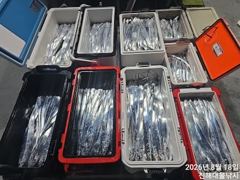 18일새벽,내만칼치 빗속에도 퍽퍽,텐빈,루어1타1피~많이잡고 예약가능~ 사진