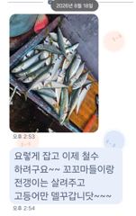 [마산] 마산 원전 선상낚시터 주간 조황 사진