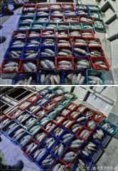 1
					
				
																[통영] 무늬 팁런 이벤트~									1 사진