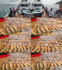 ♥붉바리들..이정도는 잡아봐야지요 대박 붉바리조황입니다 [2026년08월18일] ◎ 해마루호가 뜨는이유? 조황때문이죠 ◎ 핵심포인트: 바로진입.. 바로히트.. ▣ 차원이 다른 조황으로 모십니다 ▣ 요즘 붉바리낚시가 대세입니다