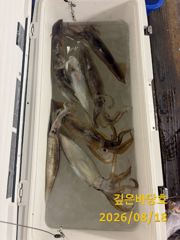 [제주 깊은바당호] 8월 18일 갈치 조황입니다 사진