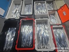 18일새벽,내만칼치 씨알점점 커지고 텐빈.루어 엄청잡고~수,목,금욜 예약가능~ 사진