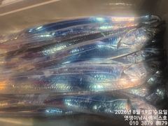 준내만갈치~돼지대치들까지 은빛축제~오늘예{약가능합니다 사진
